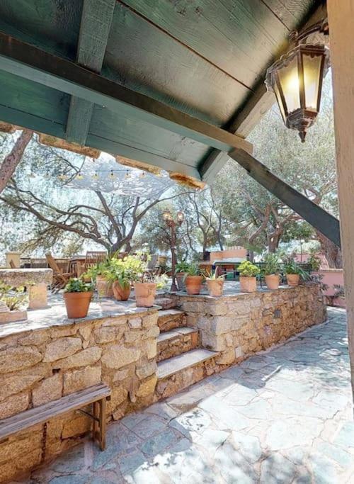 Villa Antonia Calvi (Corsica) Exterior foto