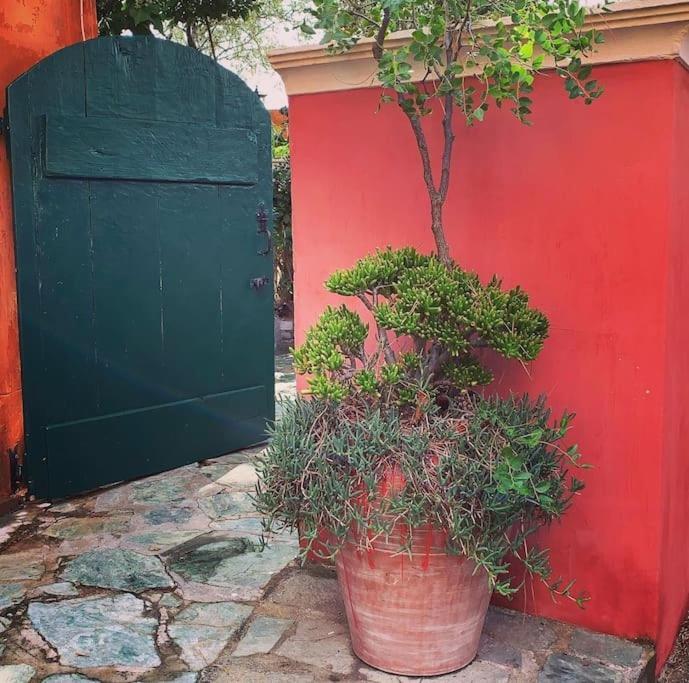 Villa Antonia Calvi (Corsica) Exterior foto