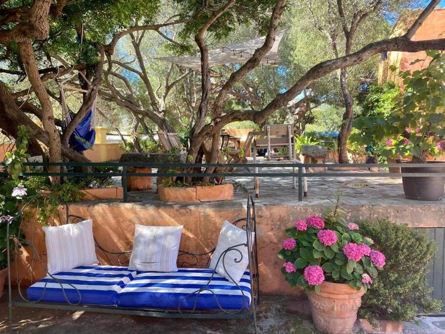 Villa Antonia Calvi (Corsica) Exterior foto