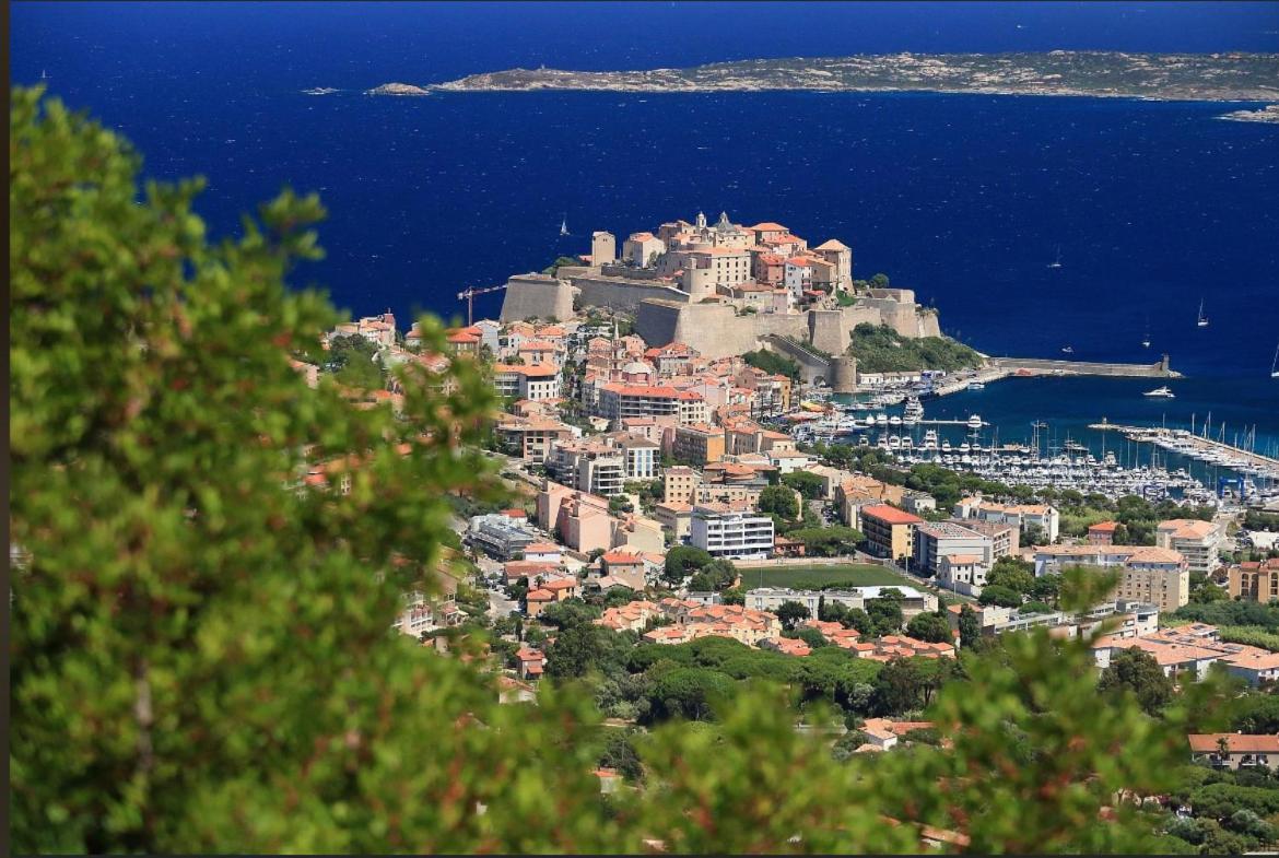 Villa Antonia Calvi (Corsica) Exterior foto